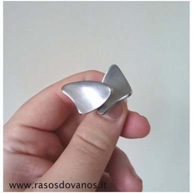 Sąsagos "Asmeniška" 2