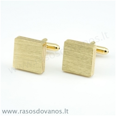 Sąsagos "Asmeniška" 9