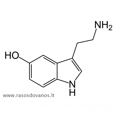 Sąsagos "Serotoninas" geros nuotaikos hormonas 3