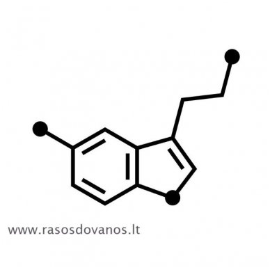 Sąsagos "Serotoninas" geros nuotaikos hormonas 4