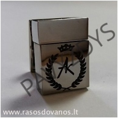 Sąsagos "USB" 8GB 6